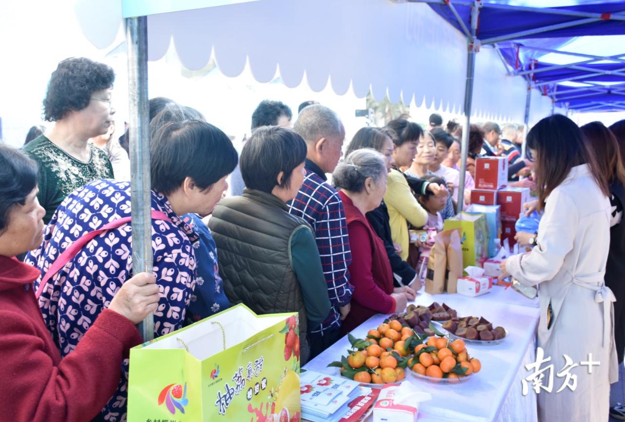 广州从化名优农产品,广州从化好吃的荔枝