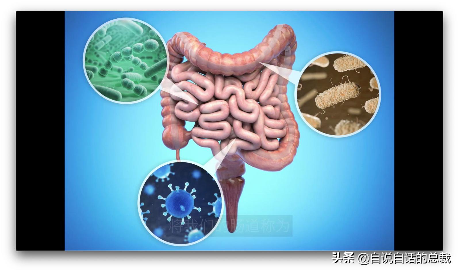 吃翔救命，最奇葩的药，人体“第二大脑”的五个惊奇