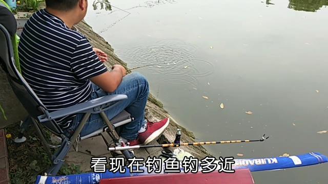 响水水库钓鲤鱼,响水钓鲤鱼位置