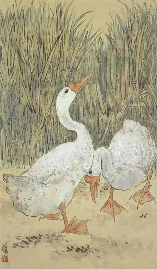 国画名家画鹅欣赏,国画大师画鹅视频