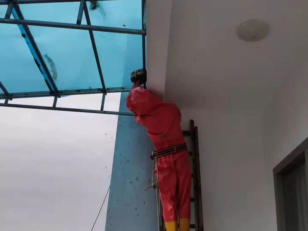 很毒的一种小虫子,现在有啥毒虫咬人又肿又痒