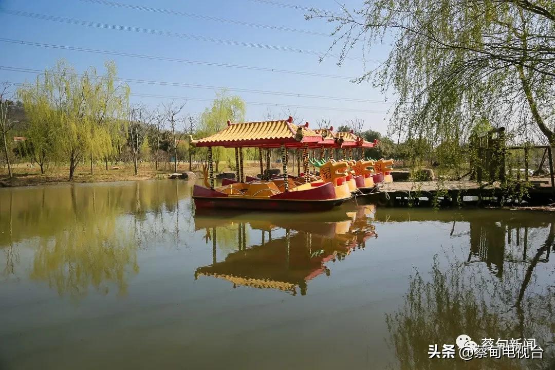 桃之夭夭!来武汉蔡甸世外桃源,许你万株桃花