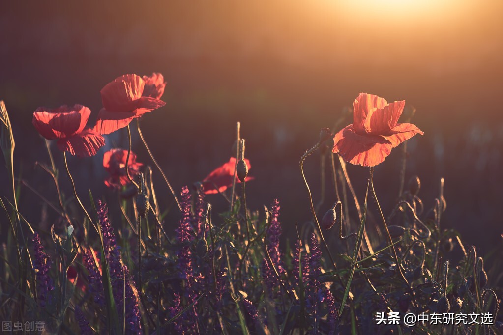 纪伯伦散文诗经典合集,推荐纪伯伦的散文诗雨之歌