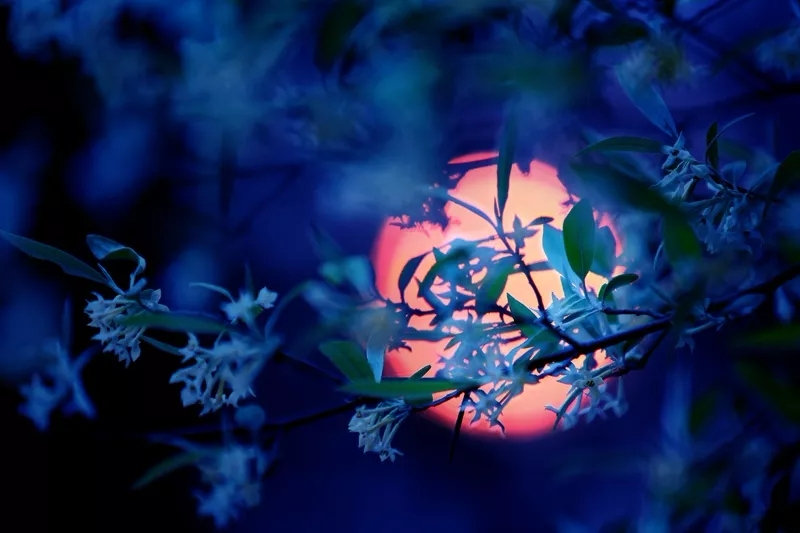 为什么四川的美女比较多,为什么四川美女多