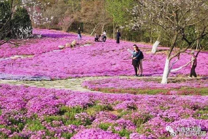 大连的沙滩哪个最好玩,大连十佳海滩排名