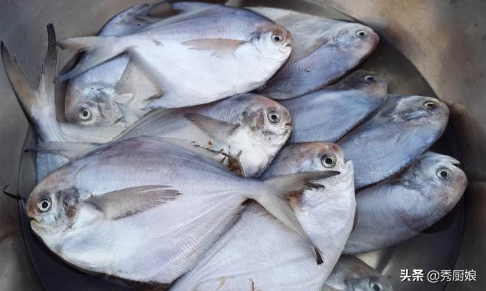 秋天碰到此鱼,我从不还价,一次准买5斤,营养极高,煎着吃最香