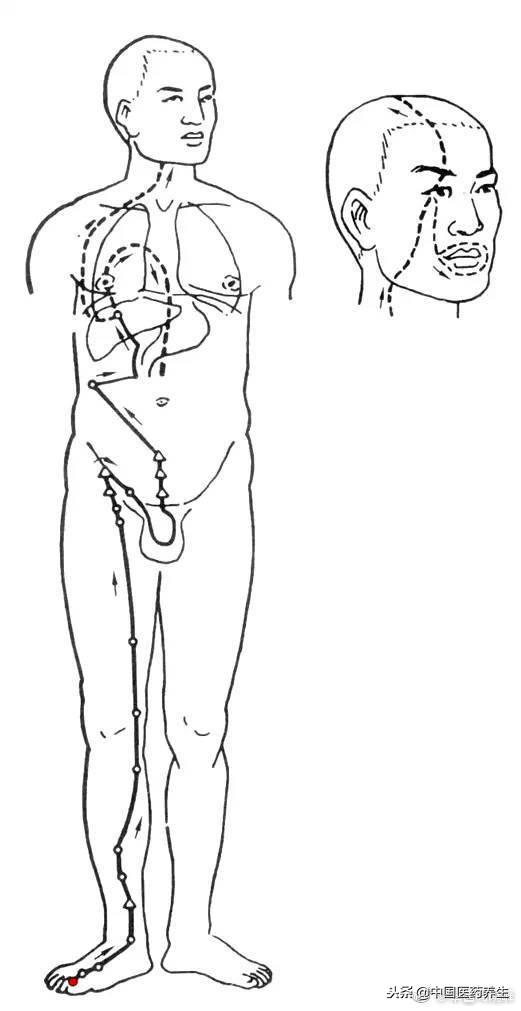 12经络对应12时辰走向图讲解,人体12经络走向位置图详解