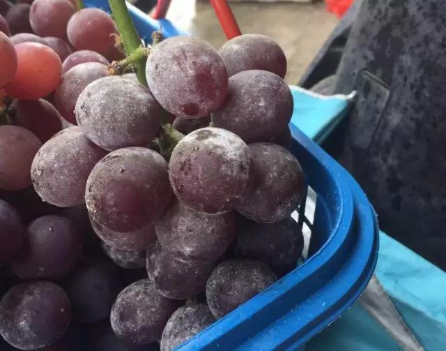 葡萄有果锈是什么病,葡萄树干开裂是怎么回事