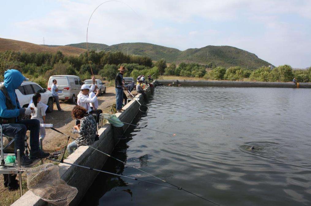 钓鱼技巧入门该如何选择钓鱼装备,新手钓鱼必备装备技巧