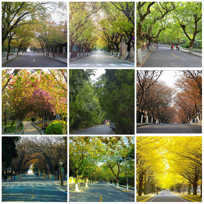 青岛沿海旅游景点,青岛精华步骤