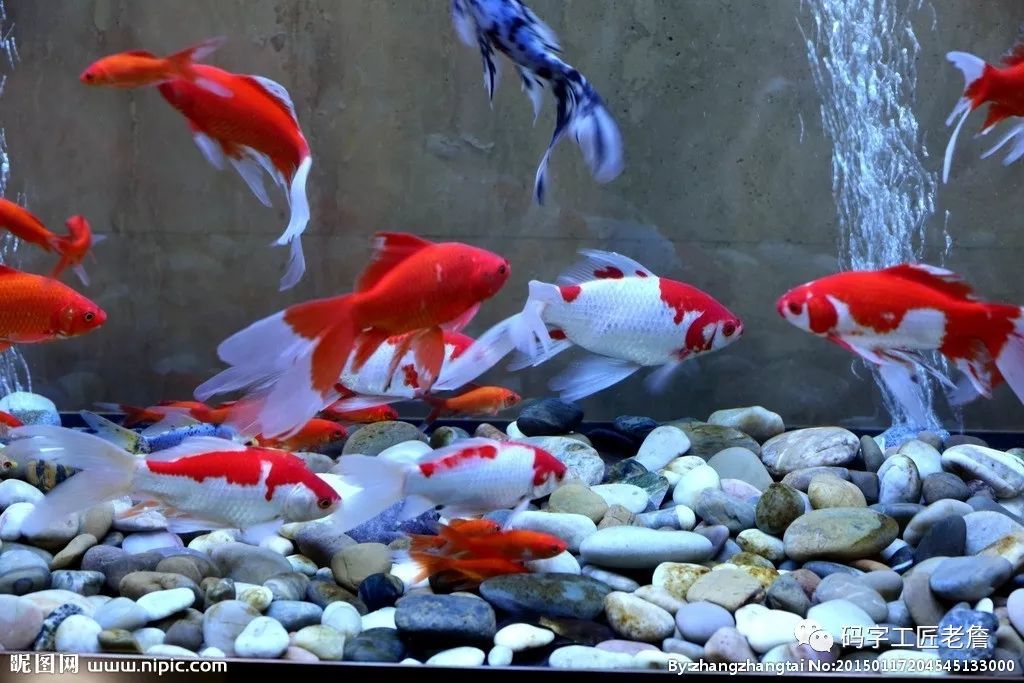 北京新发地花卉创意园,北京城南创意花卉园