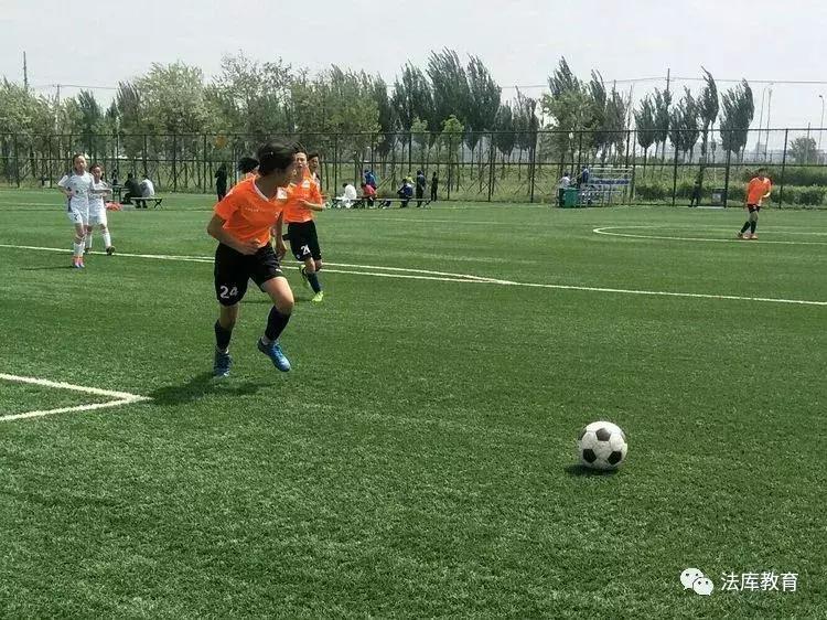 2019年沈阳市青少年校园足球比赛,2019辽宁省青少年足球锦标赛