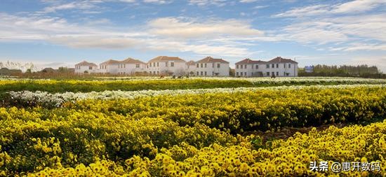 一个真实的故事一首歌音频,一个城市一座小镇的故事