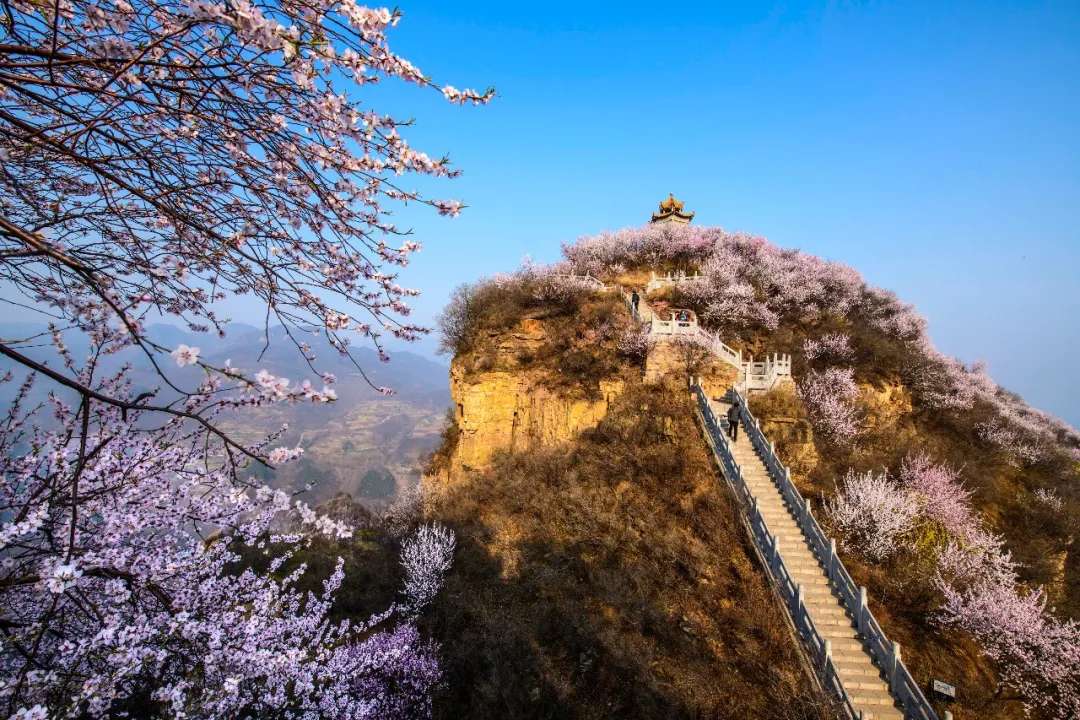 洛阳荆紫仙山赏桃花,洛阳新安荆紫仙山景区桃花