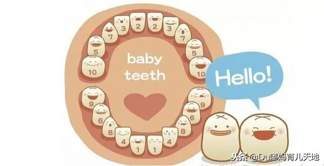 儿童长牙和换牙顺序和时间,一岁长牙不按顺序怎么回事