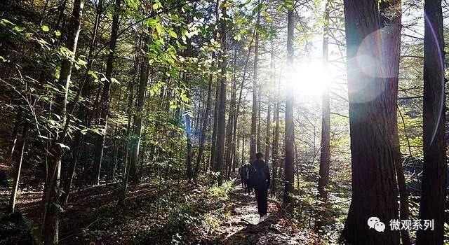 本拉登藏身之处在哪里,本拉登秘密基地