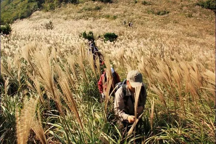 家在北仑,我有一个家北仑