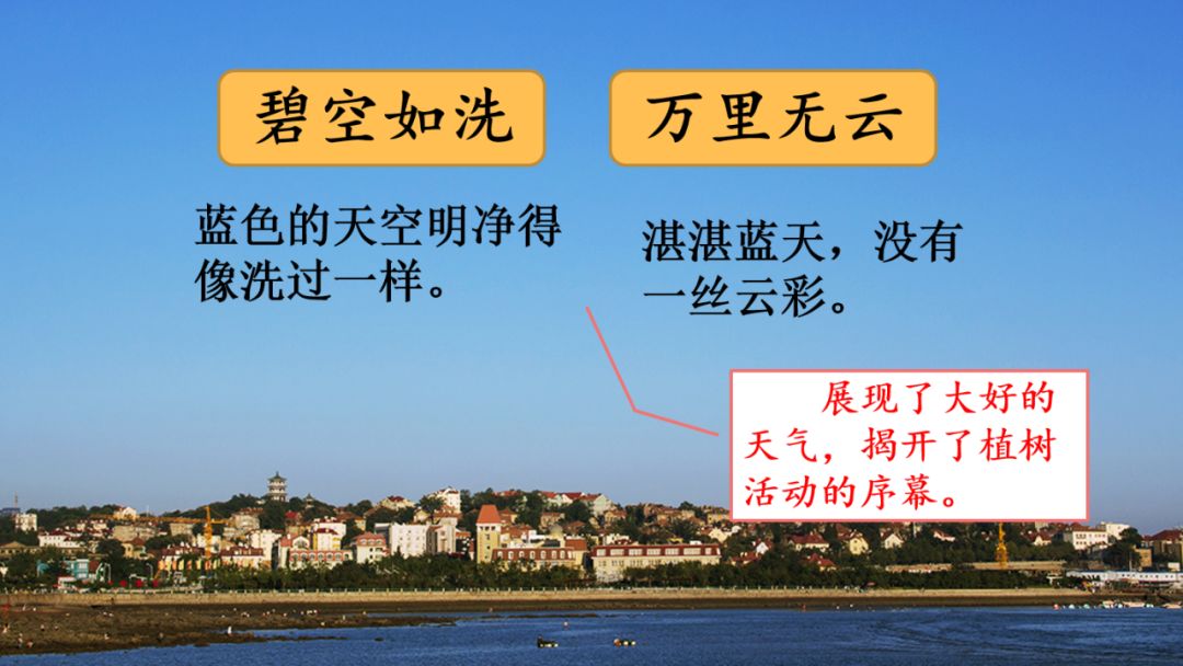 部编版二年级下册语文第4课《*小平邓**爷爷植树》知识点+图文讲解