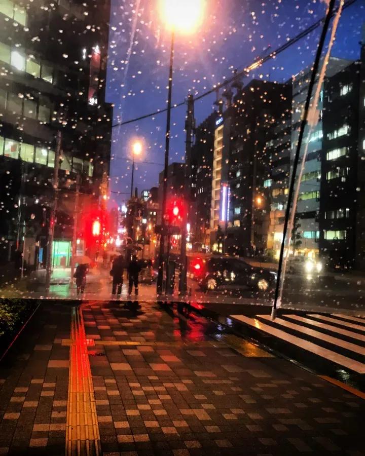 为什么日本人爱用透明伞,为什么日本大多是透明伞黑伞