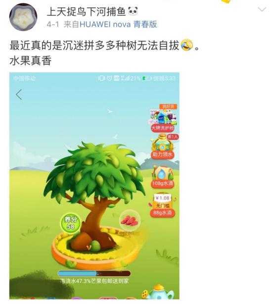 网友爸妈在拼多多的神操作绝了，三代同堂齐上阵，代沟都被化解了
