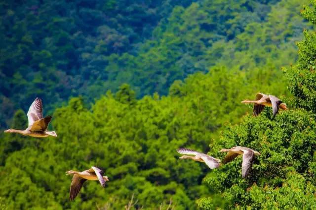 十大最好的自驾游地方,最适合自驾游的十个地方