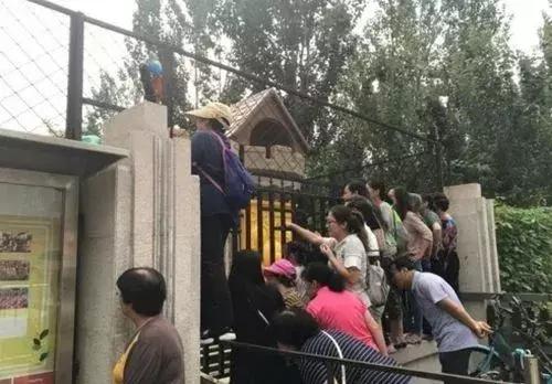 一说去幼儿园就哭怎么办,小孩一说上幼儿园就哭怎么办