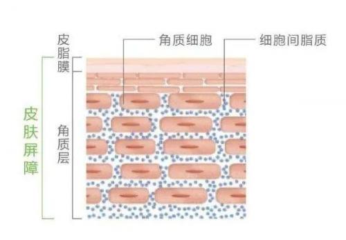 想要年轻的秘诀,想要年轻的四大秘诀