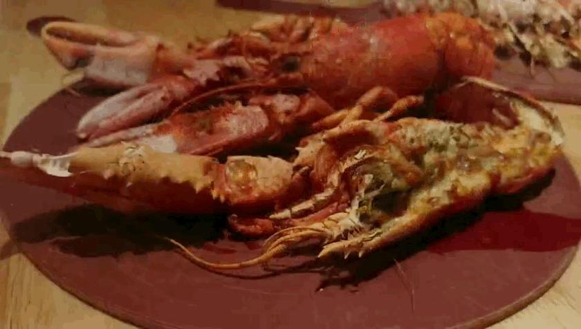 波士顿龙虾最高级的吃法,波士顿龙虾最新的吃法
