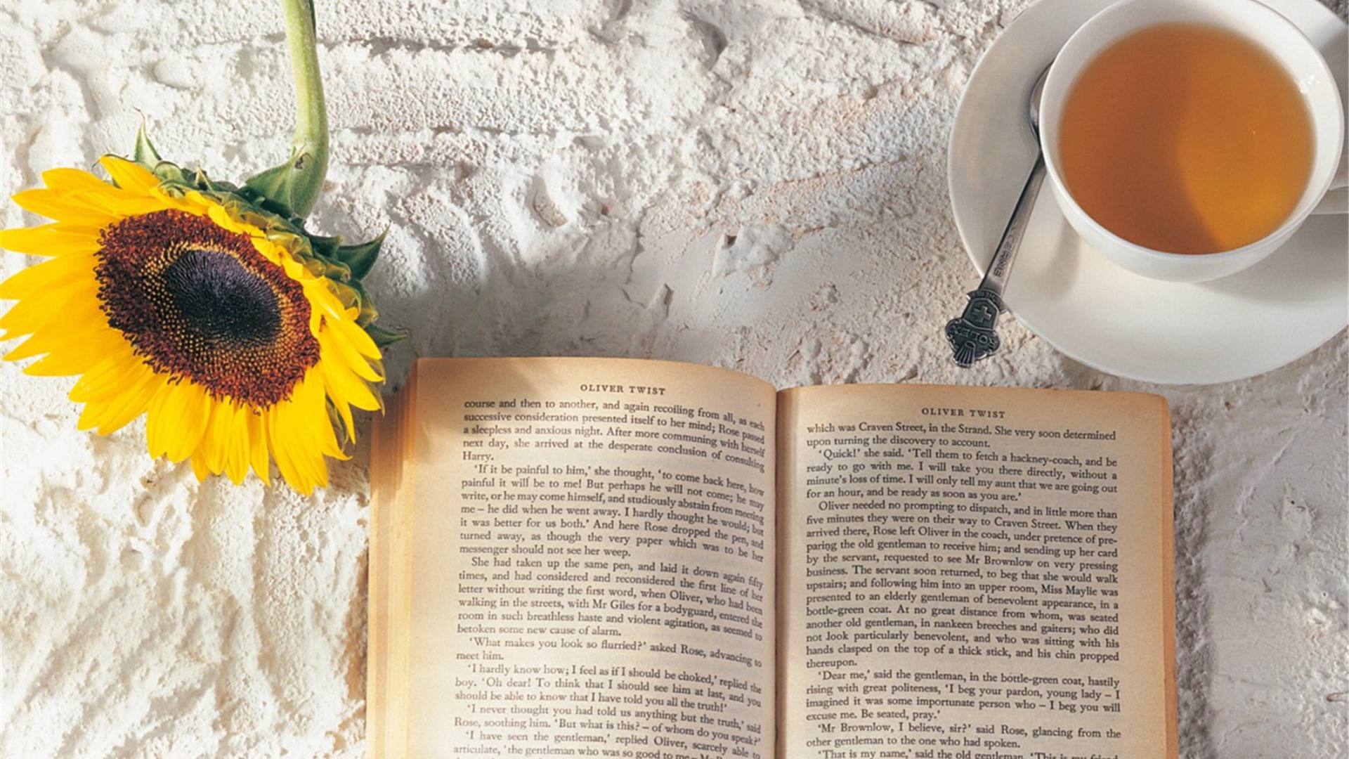 在爱情里容易活在自己的小世界里,对爱人内心了解不够多的星座