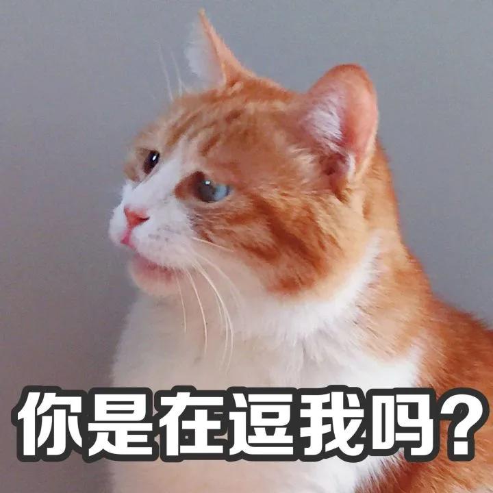 亏大了！就差四天！门诊部老板“忍不住”一顿操作被罚8万…