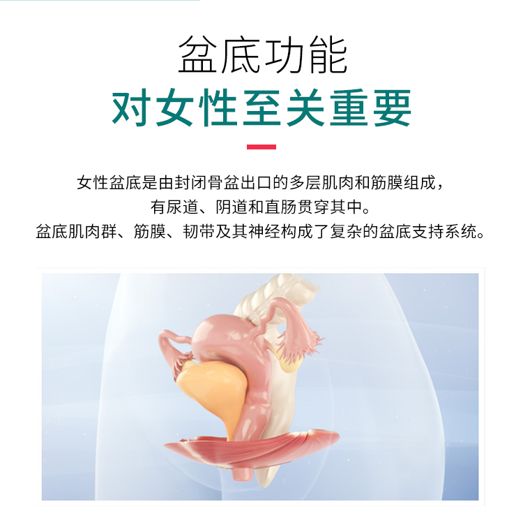 英国btl射频美容仪,英国btl美缇斯