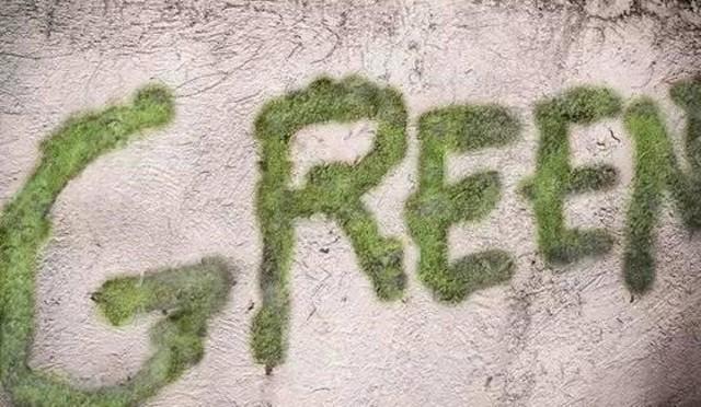 小苔藓微景观,小苔藓盆景怎么养殖