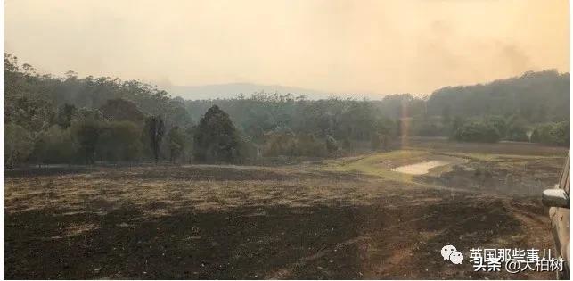 蓝鲸到底有多大,直观感受蓝鲸有多大