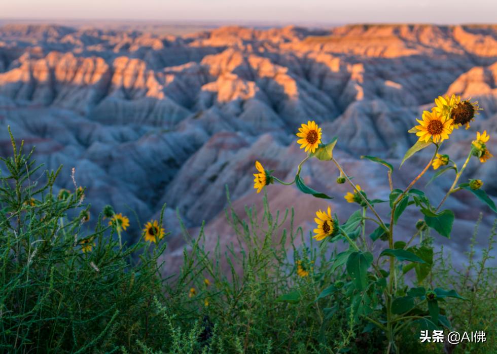美国各州最富有的镇,美国所有城市最富的是哪个城市