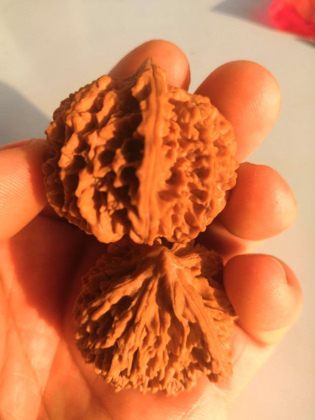 文玩核桃野生品种,核桃文玩品种官帽