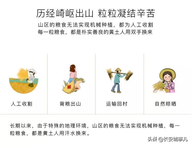 那年愿,那年愿产品介绍