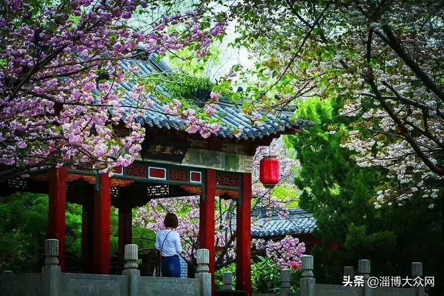 淄博新名片,淄博名片