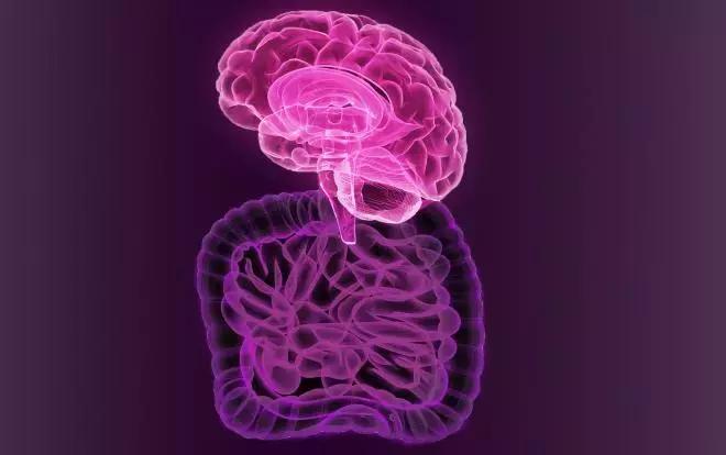 微生物脑肠轴介绍,微生物肠脑轴关系图