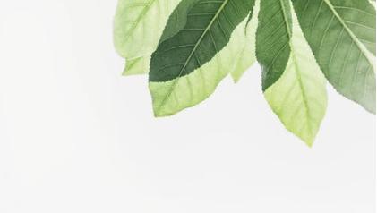 英语语法同位语从句常见句型,英语表语从句的类型与用法