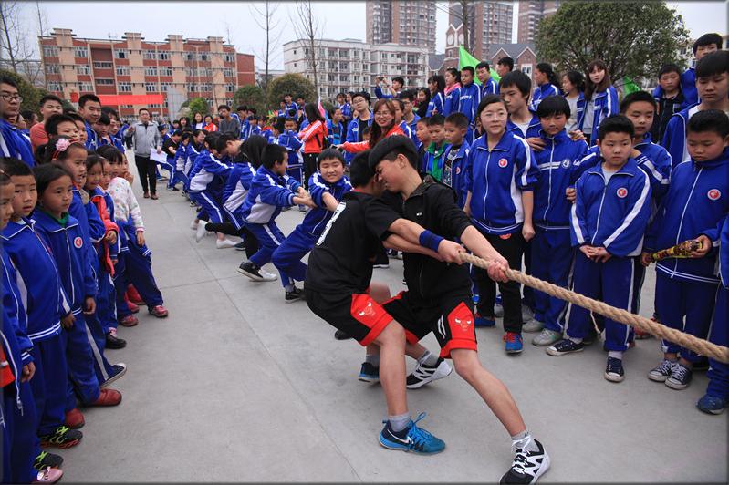 南充市嘉陵区农村视频,南充嘉陵哪个乡镇好