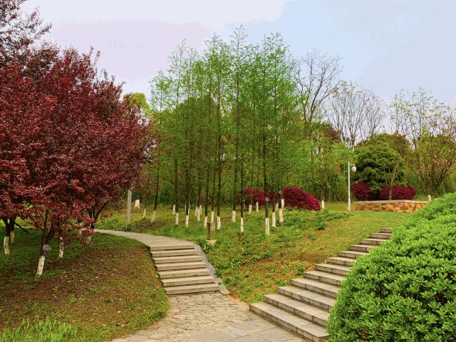 重庆科学城美景,重庆科学公园最新规划