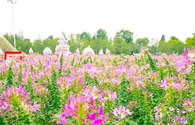 嘉兴是个什么地方,嘉兴是一座怎样的城市知乎