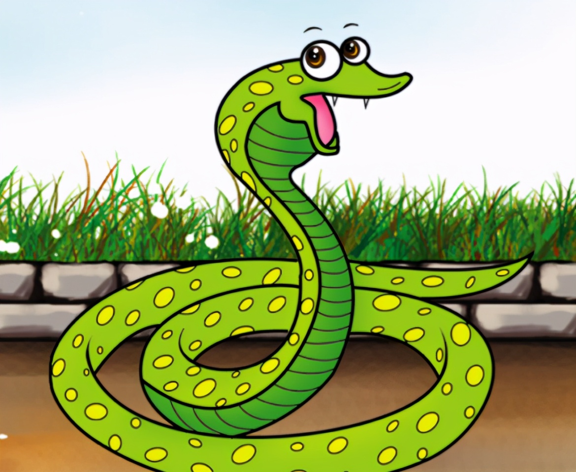 奇怪的知识又增加了!蛇的交配与繁衍:居然有两种独特的方式