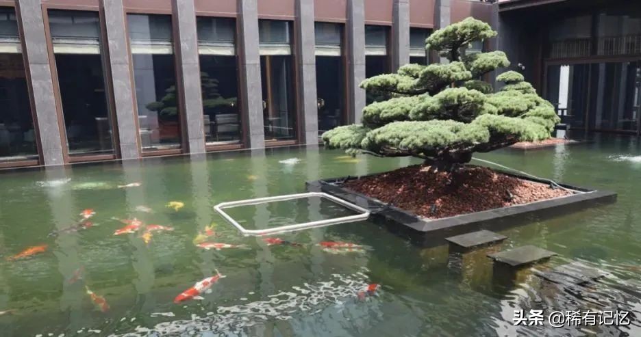 苏州顶奢酒店推荐,在苏州最高酒店住一晚是什么体验