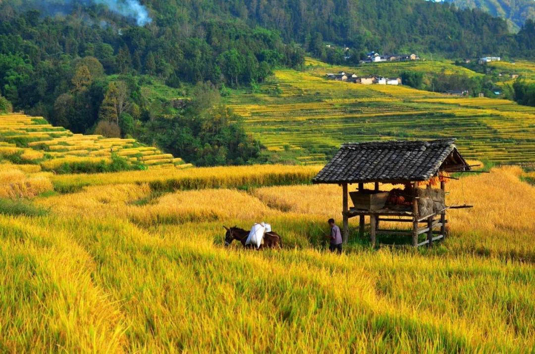 龙江“窝铺”里的光阴阡陌：风情万种地述说着乡愁