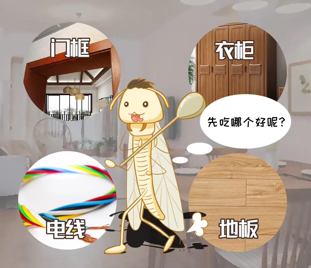 是谁在敲打我窗段子,是谁在敲打我窗片段