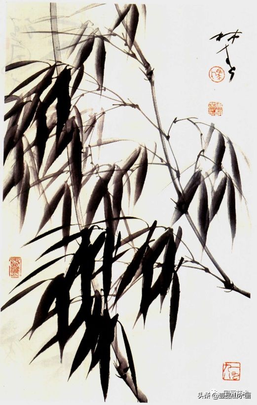 图文教程竹子画法,怎么画竹最简单最好看