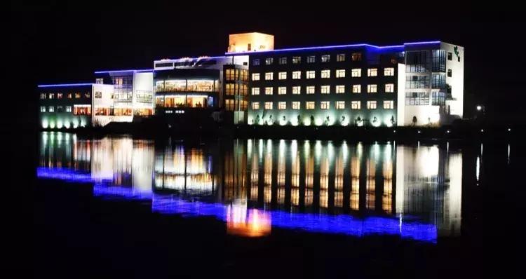 女排11连胜新闻联播,南师大排球比赛直播回放