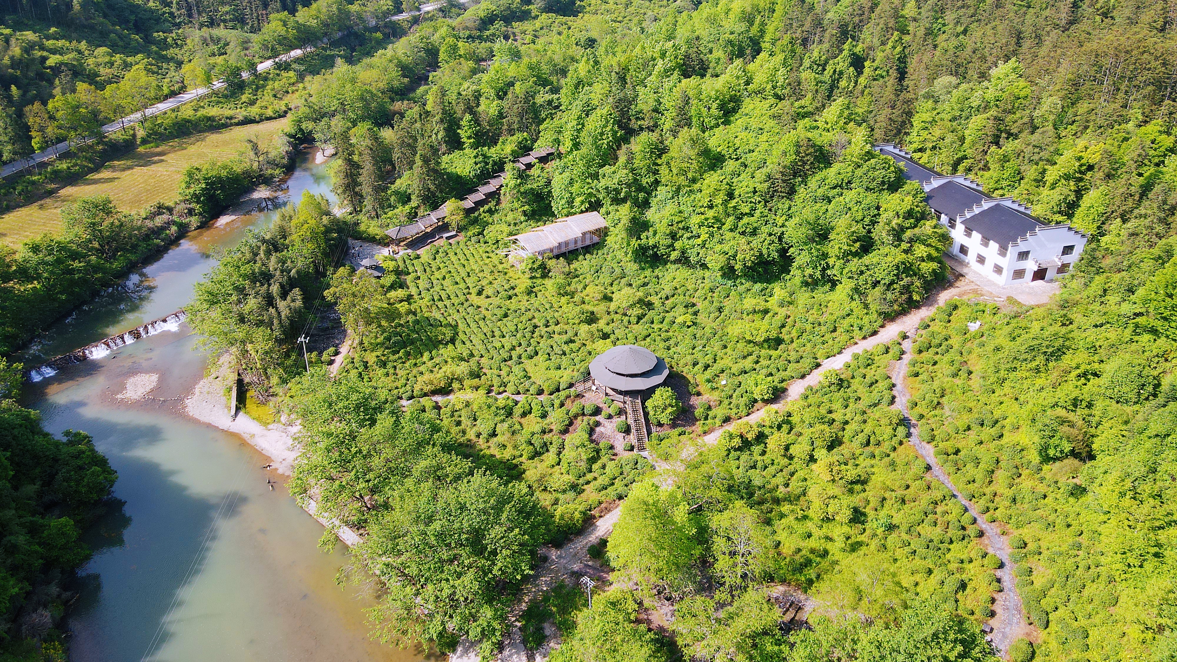 景德镇茶之源瓷之都,景德镇浮梁茶文化