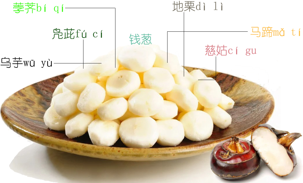 探索荸荠︱以及西关“泮塘五秀”是什么、何为江南“水八仙”？